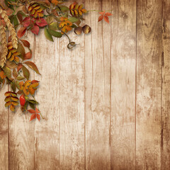 Autumn wooden background with branch with leaves and berries with copy space