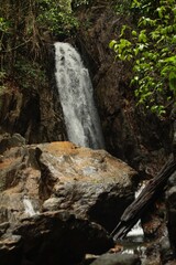 Fototapeta premium waterfall in the forest