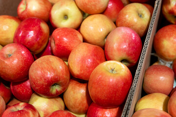 Ripe red apples in a cardboard box at a grocery store