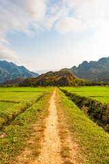 Traveling in the north of Vietnam, from Hanoi yo Sapa