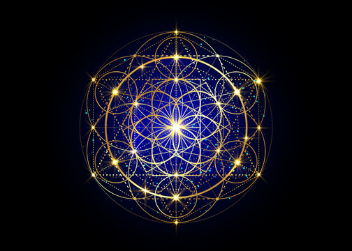 Seed of life symbol Sacred Geometry.  Geometric mystic mandala of alchemy esoteric Flower of Life. Gold luxury design, vector divine meditative amulet isolated on dark blue background