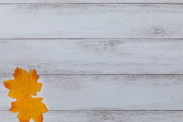 Fototapeta premium 紅葉の背景