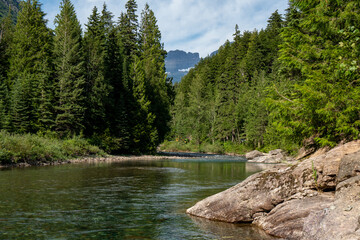 Fototapeta na wymiar Avalance Creek in Glacier National Park