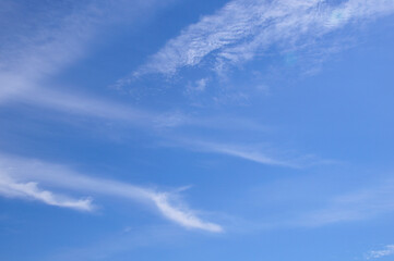 Naklejka premium 青空と白い雲