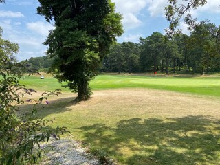 Fototapeta premium golf course in the morning