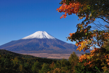 秋の富士