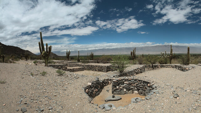 Culture and heritage. View of the city ruins of the Quilmes aboriginal civilization with Inca influence. Ancient terraces made of stone surrounded by giant cacti.
