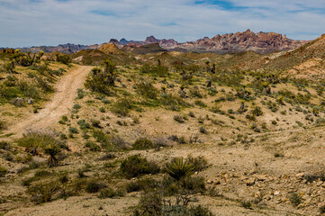 Fototapeta na wymiar road in the desert 