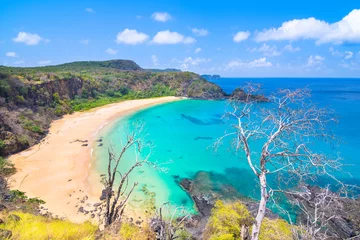 Fototapete Baia do Sancho, Fernando de Noronha Sancho Beach - viermal zum schönsten Strand der Welt gewählt - Insel Fernando de Noronha - Brasilien