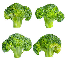 Fresh broccoli in closeup isolated on white background