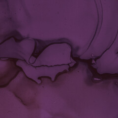 Alcohol Wine Illustration. Watercolour Winery 