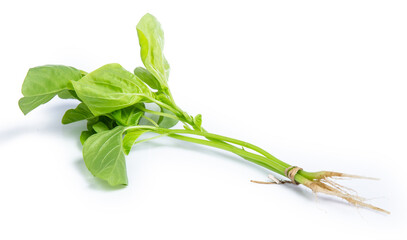 spinach vegetable isolated on white background clipping path