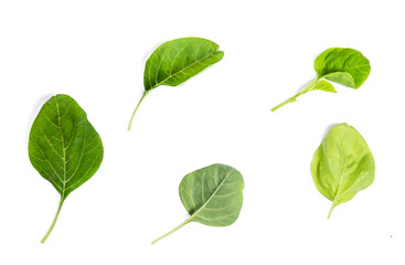 spinach vegetable isolated on white background clipping path