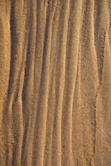 Wavy sea shore sand texture on sunshine. Selective focus. Background with copy space for text. Wave pattern.