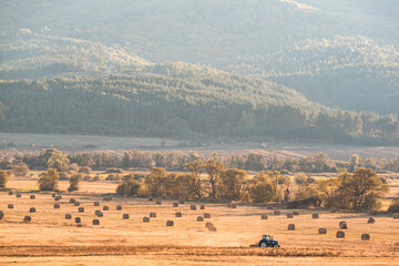 Tractor collecting straw bales sun bulgaria farming agriculture minimal machine golden hay small zoom far away work copy space for text
