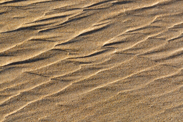 Wavy sea shore sand texture on sunshine. Selective focus. Background with copy space for text. Wave pattern.
