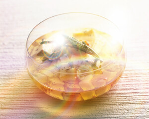 オリーブオイルに浸かったチーズ