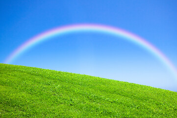 Naklejka premium 虹の架かった丘