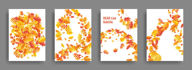 Autumn leaves falling card backgrounds or covers vector set.