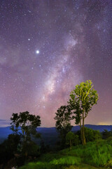 A beautiful night view of the trees and the Milky Way galaxy on the mountain in Nan province of Thailand. Image selective focus background