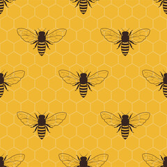 honey bee and honeycomb