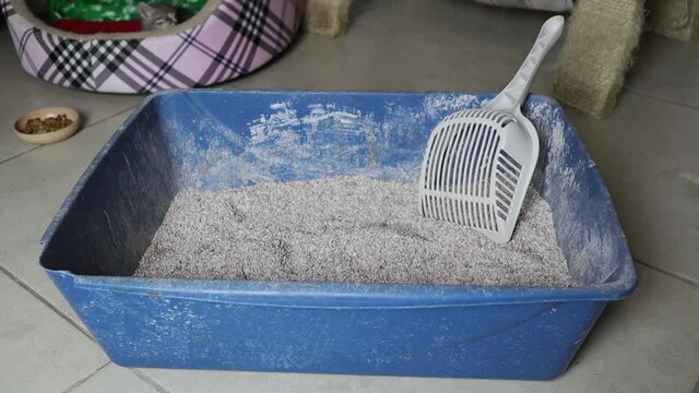 Arena para gatos