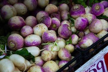 Fresh turnips on market shelves. High quality photo