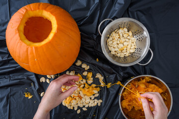 Pumpkin seed harvesting, woman’s hands sorting seeds and pumpkin guts
