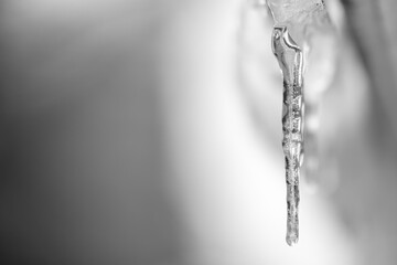 Transparent icicle on a gray background with copy space