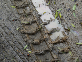 トラクターのタイヤ跡