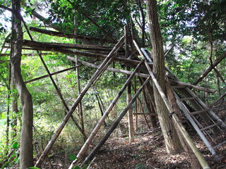 山林の子供の隠れ住処