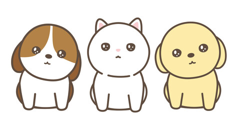 子犬と仔猫　整列　白背景