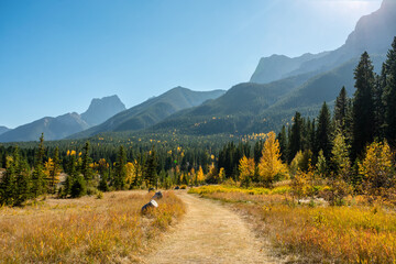 trail in the mountains