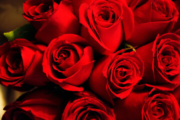 Close up photo of a dozen of red roses.