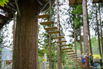 森の中の吊橋のアクティビティ