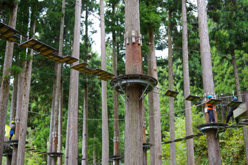 森の中の吊橋のアクティビティ