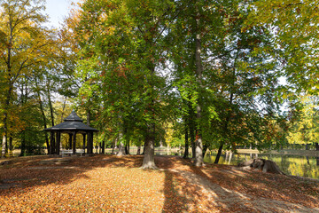 Park, Pavillon
