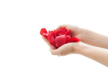 バラの花びらを持つ女性の手