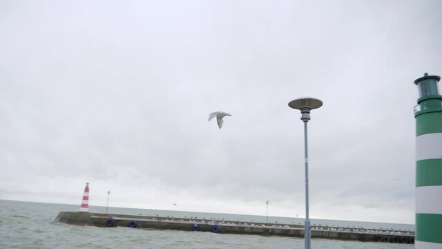 The seagull is flying away from a lamp pole on sea coastline with visible lighthouse in Lithuania, Nida. Slow motion handheld shot.