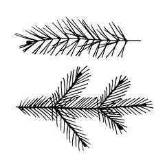 Fir-tree branches. Elements for Christmas design. Black and white vector contour drawing.