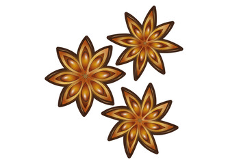 Drei leuchtende Sternanis - Gewürz und Heilpflanze