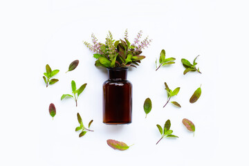 Essential oil bottle with fresh holy basil leaves and flower on white