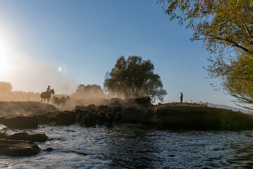 Fototapety na wymiar - Fototapeta24.pl