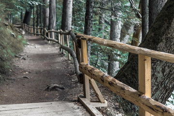 Alpine path with wooden protective handrails among the green forest.