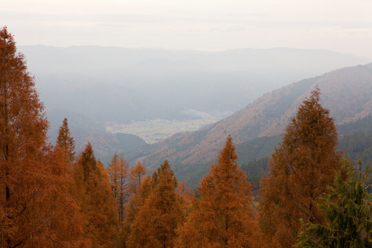 比叡山山頂からの景色 © Paylessimages