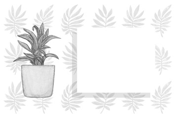 postcard with a black and white home plant with in pot on a background of black and white leaves