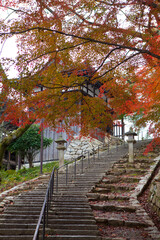 Naklejka premium 三井寺