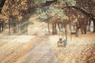 autumn landscape background, sun rays in the forest, park, trees seasonal view October