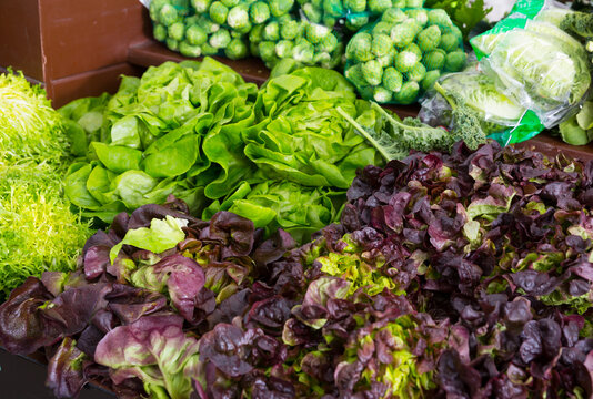 Showcase with fresh assorted greens in greengrocery