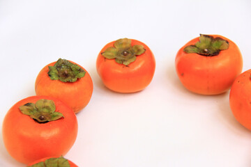 柿のフレーム素材